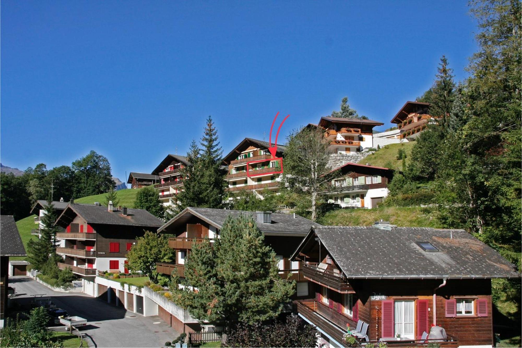 גרינדלוולד Chalet Zur Hoehe מראה חיצוני תמונה